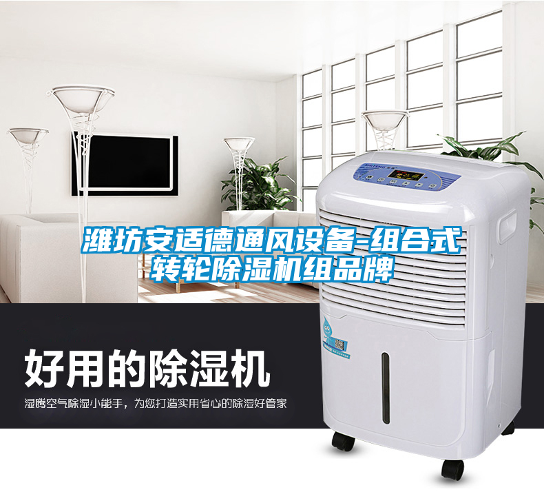 国产精品欧美激情视频 潍坊安适德通风设备-组合式转轮除湿机组品牌