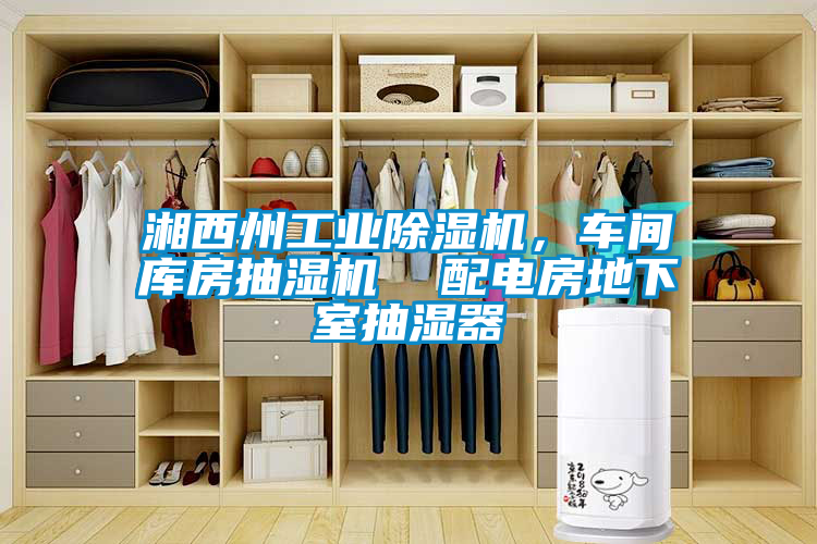 国产精品探花在线观看 湘西州工业除湿机，车间库房抽湿机  配电房地下室抽湿器