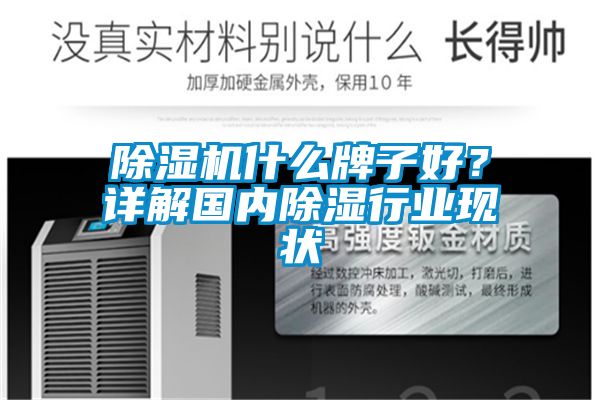 国产精品欧美激情视频 除湿机什么牌子好？详解国内除湿行业现状