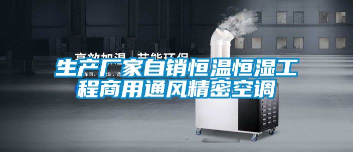 国产精品欧美激情视频 生产厂家自销恒温恒湿工程商用通风精密空调