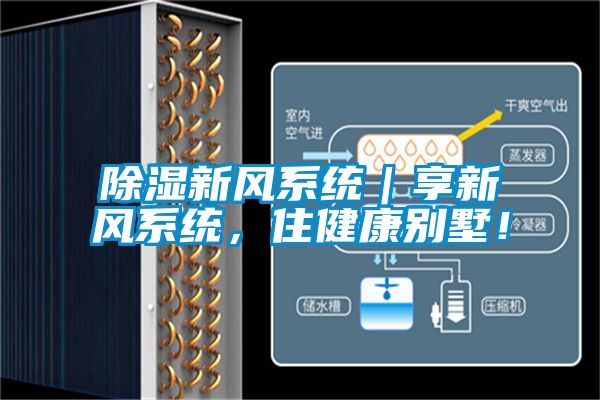 国产精品欧美激情视频 除湿新风系统｜享新风系统，住健康别墅！