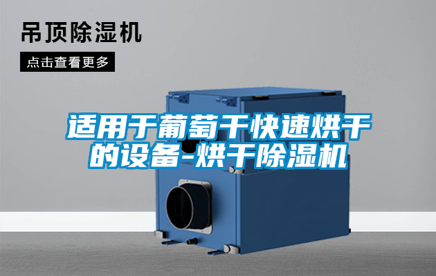 国产精品探花在线观看 适用于葡萄干快速烘干的设备-烘干除湿机