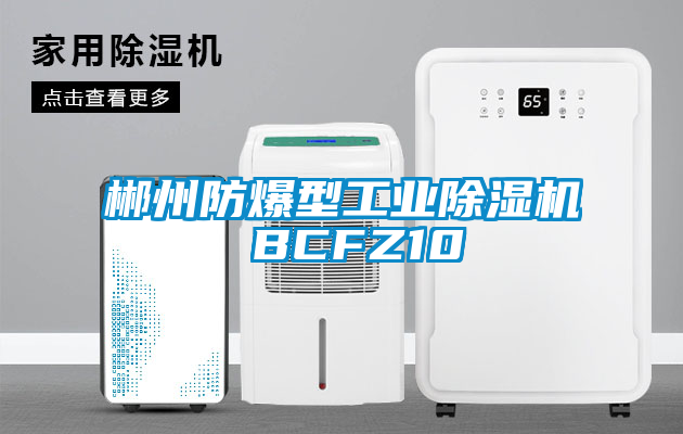 国产精品欧美激情视频 郴州防爆型工业除湿机 BCFZ10
