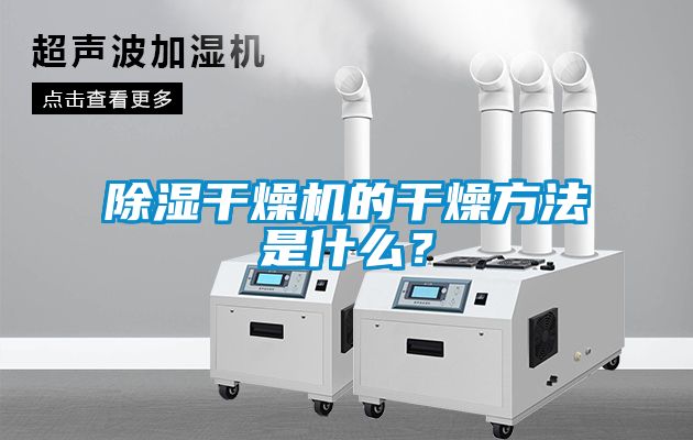 国产精品三级在线观看 除湿干燥机的干燥方法是什么？