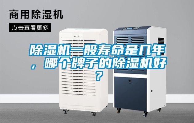 国产精品三级在线观看 除湿机一般寿命是几年，哪个牌子的除湿机好？
