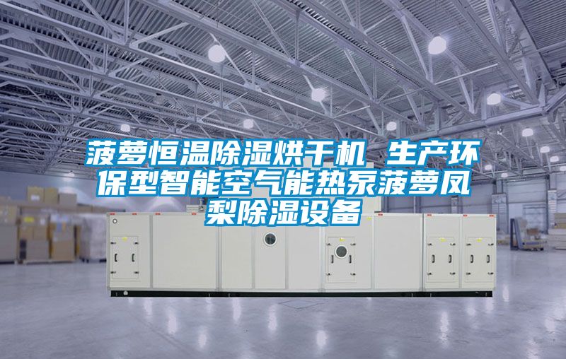 国产精品三级在线观看 菠萝恒温除湿烘干机 生产环保型智能空气能热泵菠萝凤梨除湿设备