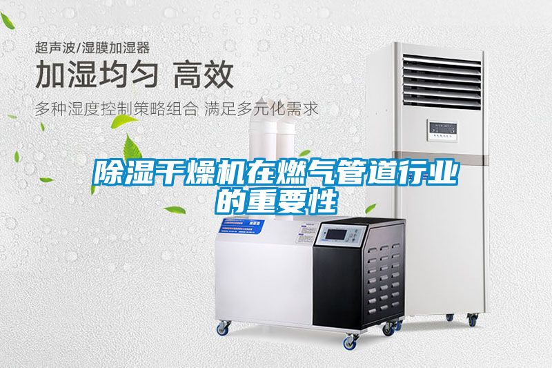 国产精品三级在线观看 除湿干燥机在燃气管道行业的重要性