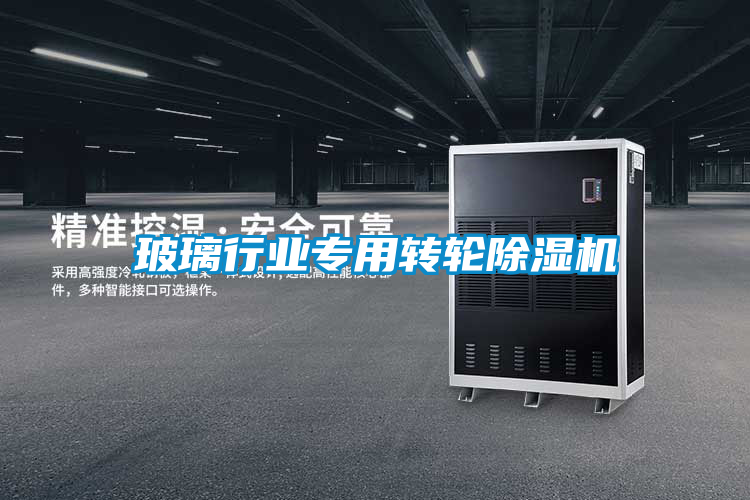 国产精品欧美激情视频 玻璃行业专用转轮除湿机