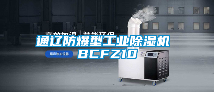 国产精品三级在线观看 通辽防爆型工业除湿机 BCFZ10