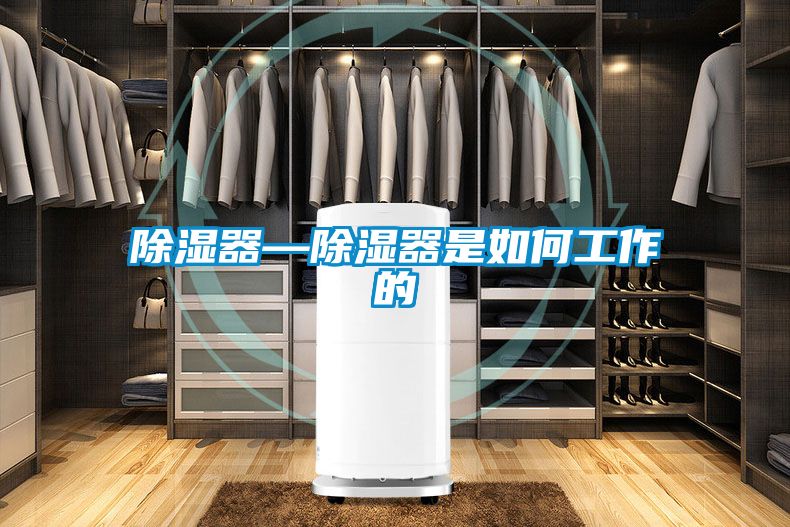 国产精品探花在线观看 除湿器—除湿器是如何工作的