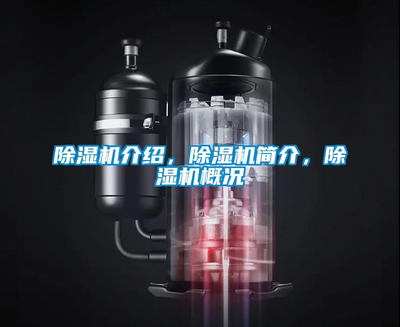 国产精品三级在线观看 除湿机介绍，除湿机简介，除湿机概况