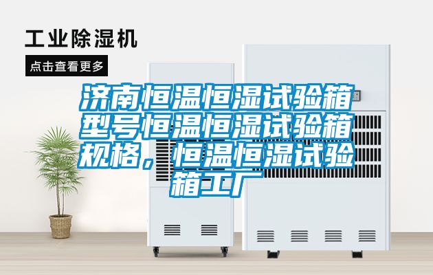 国产精品探花在线观看 济南恒温恒湿试验箱型号恒温恒湿试验箱规格，恒温恒湿试验箱工厂