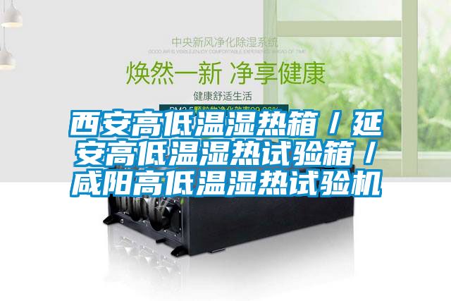 国产精品三级在线观看 西安高低温湿热箱／延安高低温湿热试验箱／咸阳高低温湿热试验机