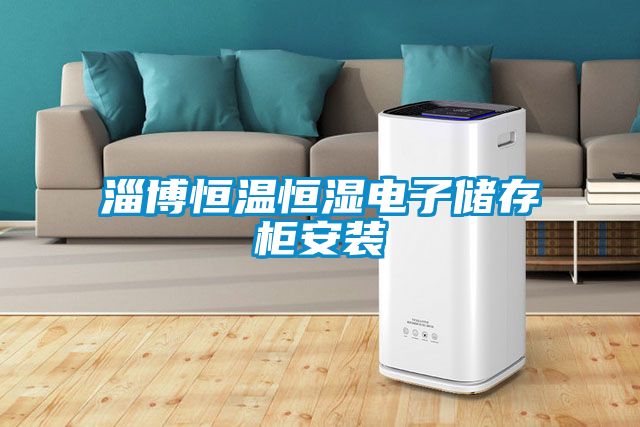 国产精品欧美激情视频 淄博恒温恒湿电子储存柜安装