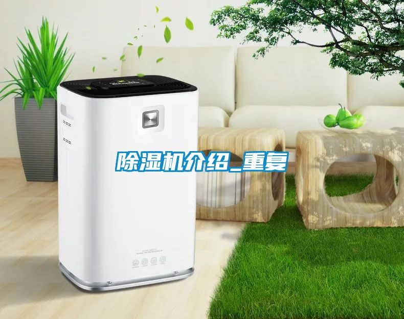 国产精品欧美激情视频 除湿机介绍_重复