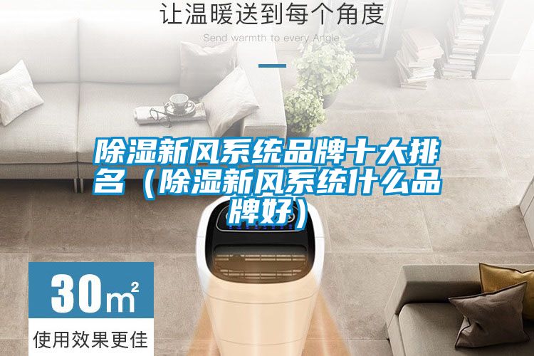 国产精品探花在线观看 除湿新风系统品牌十大排名（除湿新风系统什么品牌好）