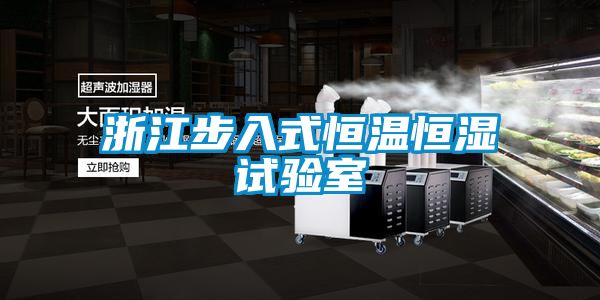 国产精品三级在线观看 浙江步入式恒温恒湿试验室