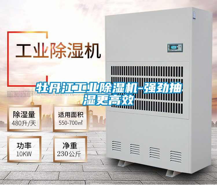 国产精品三级在线观看 牡丹江工业除湿机-强劲抽湿更高效