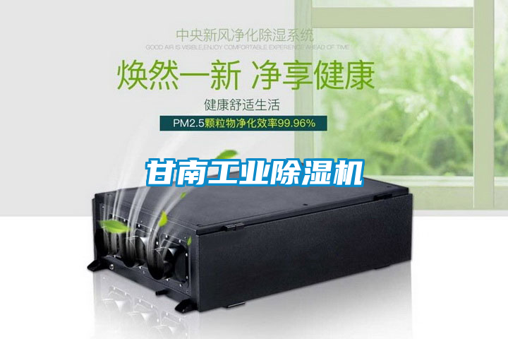 国产精品欧美激情视频 甘南工业除湿机