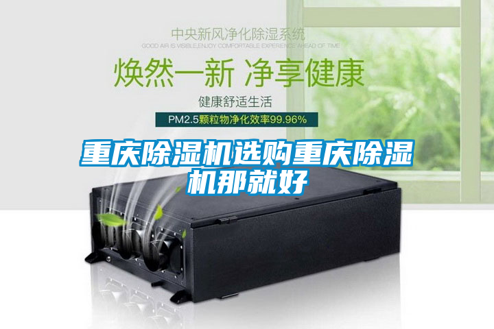 国产精品探花在线观看 重庆除湿机选购重庆除湿机那就好