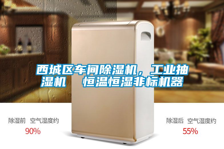 国产精品三级在线观看 西城区车间除湿机，工业抽湿机  恒温恒湿非标机器