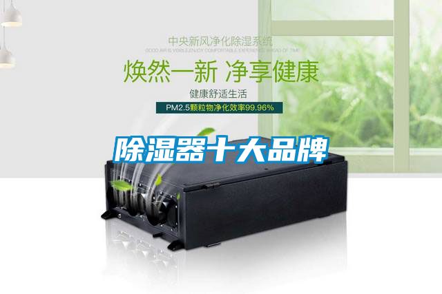 国产精品欧美激情视频 除湿器十大品牌