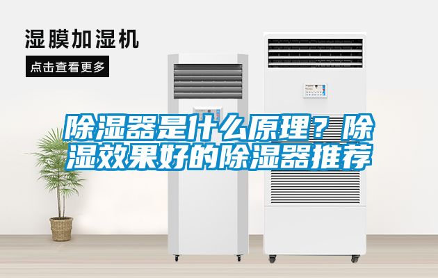 国产精品探花在线观看 除湿器是什么原理？除湿效果好的除湿器推荐