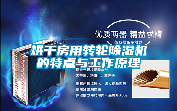国产精品三级在线观看 烘干房用转轮除湿机的特点与工作原理