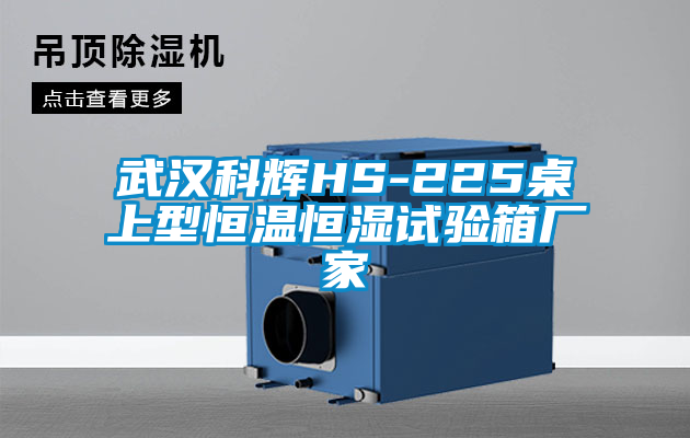 国产精品三级在线观看 武汉科辉HS-225桌上型恒温恒湿试验箱厂家