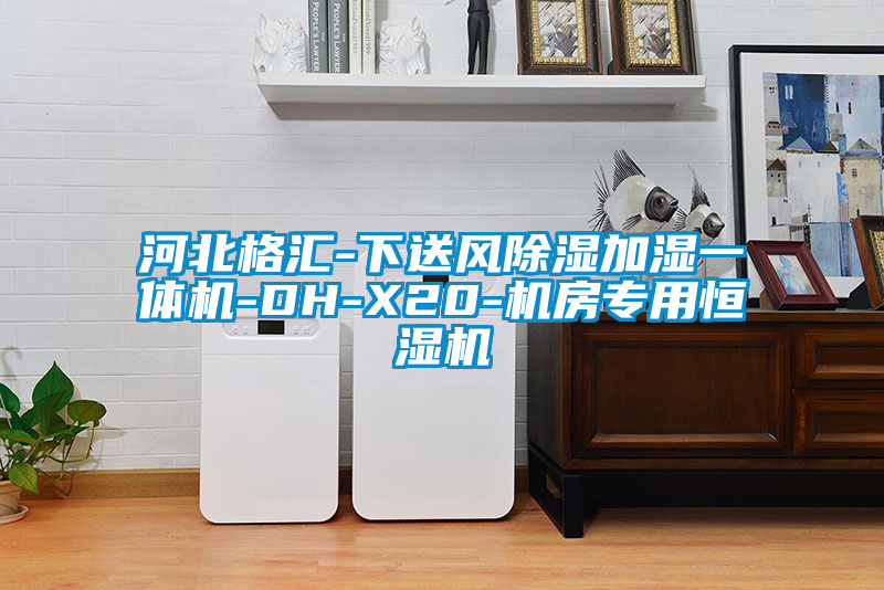 国产精品三级在线观看 河北格汇-下送风除湿加湿一体机-DH-X20-机房专用恒湿机