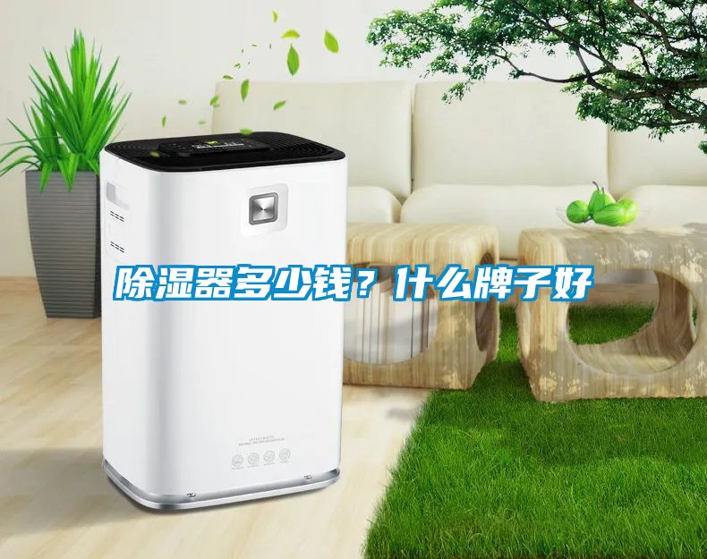 国产精品欧美激情视频 除湿器多少钱？什么牌子好