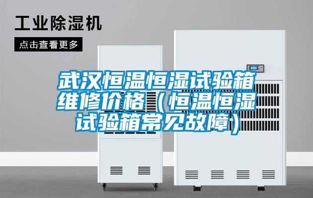 国产精品三级在线观看 武汉恒温恒湿试验箱维修价格（恒温恒湿试验箱常见故障）