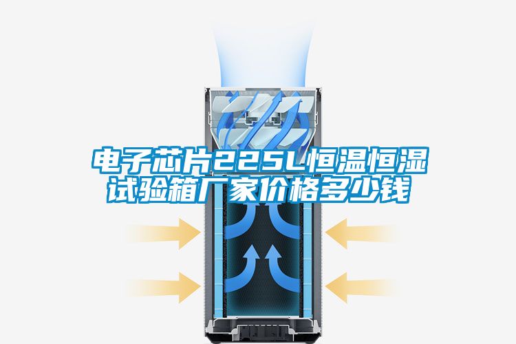 国产精品三级在线观看 电子芯片225L恒温恒湿试验箱厂家价格多少钱