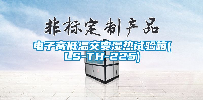国产精品欧美激情视频 电子高低温交变湿热试验箱(LS-TH-225)