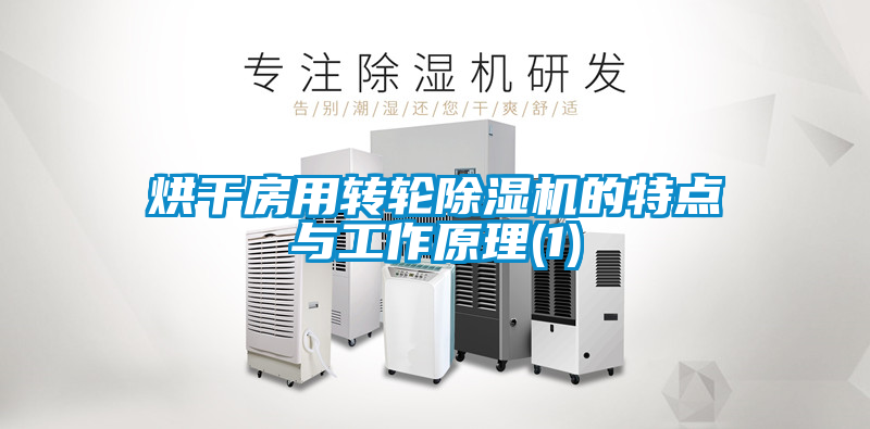 国产精品欧美激情视频 烘干房用转轮除湿机的特点与工作原理(1)