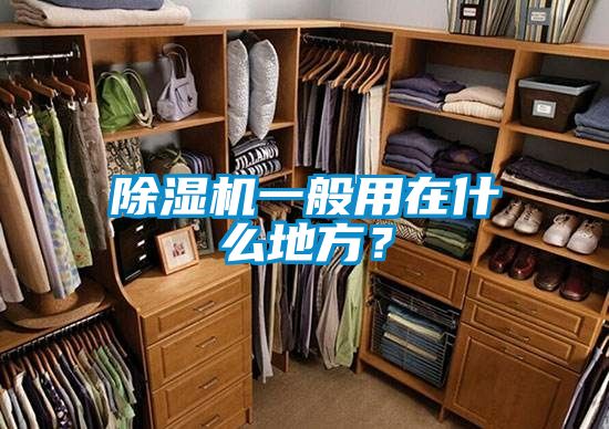 国产精品欧美激情视频 除湿机一般用在什么地方？