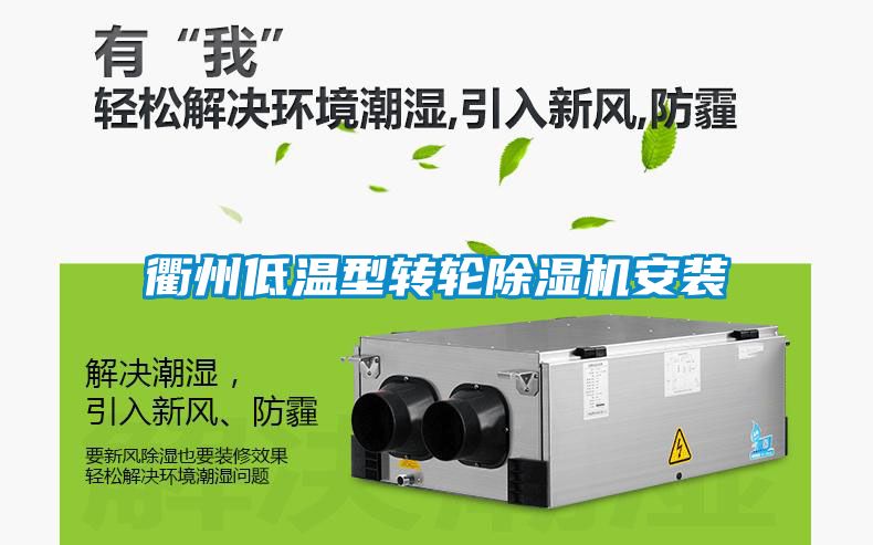 国产精品欧美激情视频 衢州低温型转轮除湿机安装