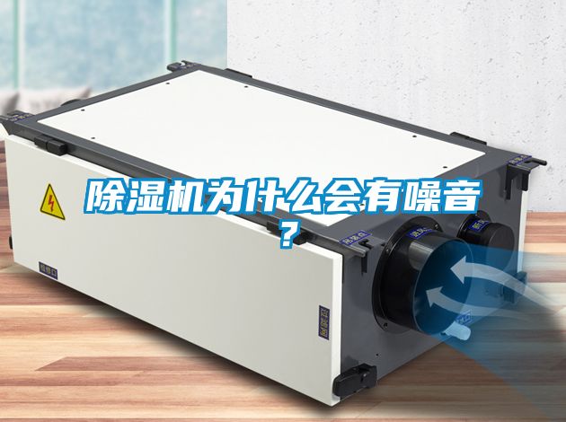 国产精品欧美激情视频 除湿机为什么会有噪音？