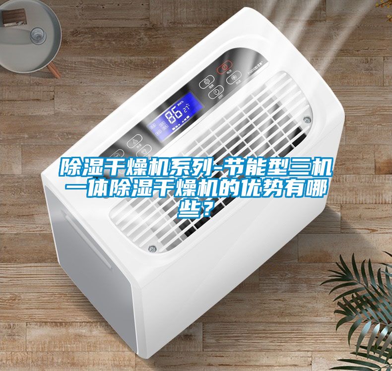 国产精品欧美激情视频 除湿干燥机系列-节能型三机一体除湿干燥机的优势有哪些？