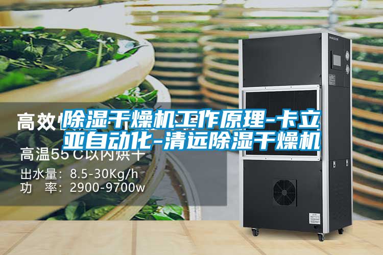 国产精品探花在线观看 除湿干燥机工作原理-卡立亚自动化-清远除湿干燥机