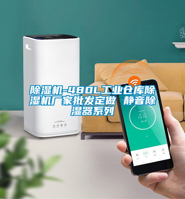 国产精品欧美激情视频 除湿机-480L工业仓库除湿机厂家批发定做 静音除湿器系列