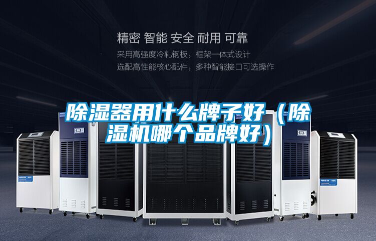 国产精品欧美激情视频 除湿器用什么牌子好（除湿机哪个品牌好）