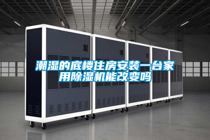 国产精品三级在线观看 潮湿的底楼住房安装一台家用除湿机能改变吗