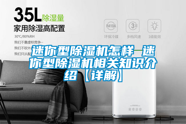 国产精品欧美激情视频 迷你型除湿机怎样 迷你型除湿机相关知识介绍【详解】