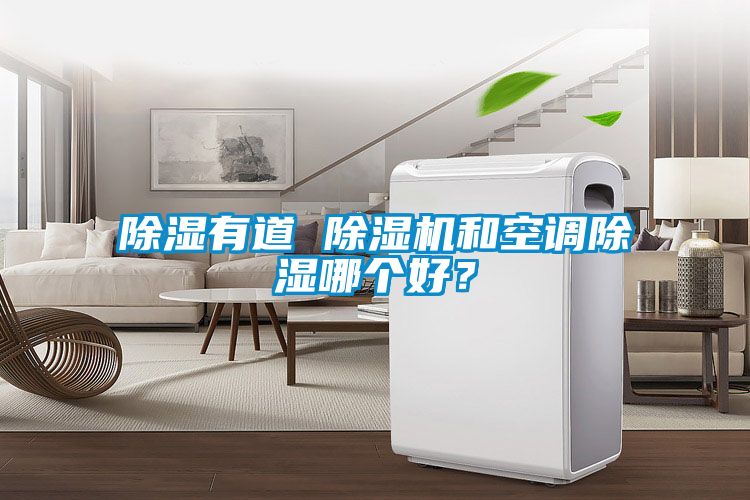 国产精品三级在线观看 除湿有道 除湿机和空调除湿哪个好？