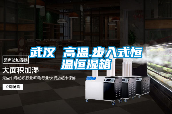 国产精品探花在线观看 武汉 高温.步入式恒温恒湿箱