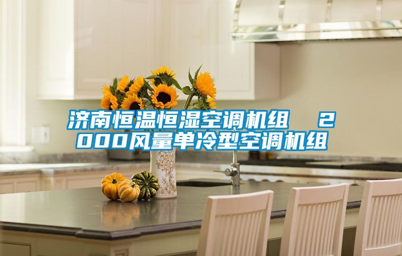 国产精品三级在线观看 济南恒温恒湿空调机组  2000风量单冷型空调机组