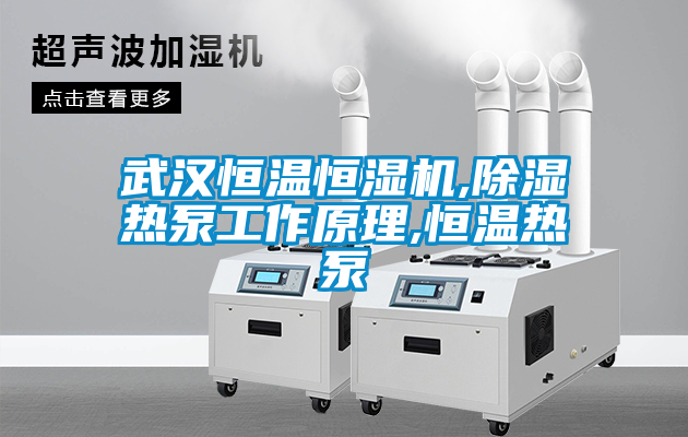国产精品欧美激情视频 武汉恒温恒湿机,除湿热泵工作原理,恒温热泵