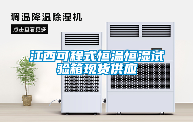 国产精品三级在线观看 江西可程式恒温恒湿试验箱现货供应