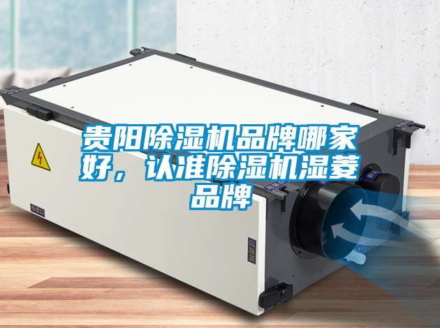 国产精品探花在线观看 贵阳除湿机品牌哪家好，认准除湿机湿菱品牌